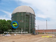 1 -4 MW de centrale électrique au biogaz EPC clé en main BOT BTO Service de projet avec réservoirs de stockage en verre fusionné à l'acier