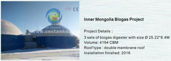 Système de réservoir de stockage de biogaz de durabilité pour des solutions clés en main dans les projets de bioénergie 0
