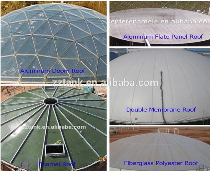 Biogas Digestion anaérobie à double membrane Production de gaz à toit cylindrique 0