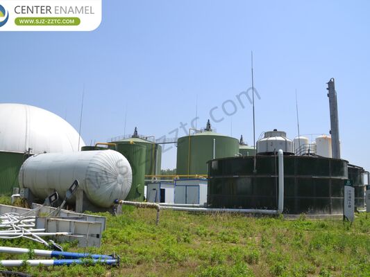 Entrepreneur principal du projet de biogaz avec processus CSTR pour le traitement du fumier bovin en Afrique du Sud