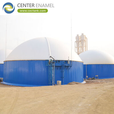 Biogas Plant Project Complete Anaerobic Digestion Tank Solutions