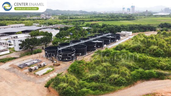 Solution anaérobie avancée: réservoirs GFS et toits à double membrane pour le traitement de la POME en Équateur