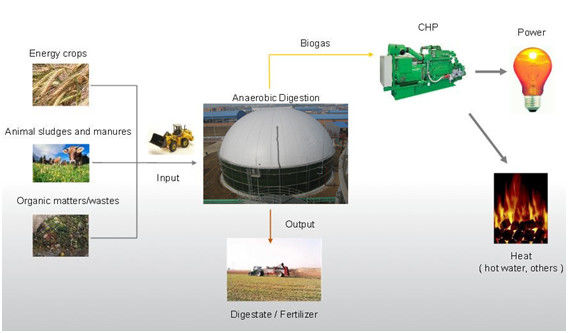 réservoir de stockage de biogaz supérieur fournisseur clé en main EPC pour les déchets de biogaz 1